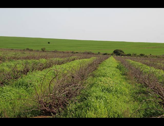 235HA FARM FOR SALE IN MALMESBURY RURAL